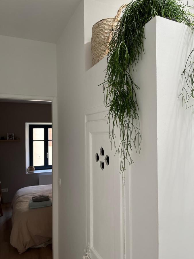 Hébergement de vacances Maison Petite Côte Carcassonne